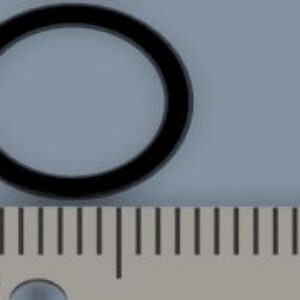 O-ring-Seals IT Proximal Fitting to IT Boot