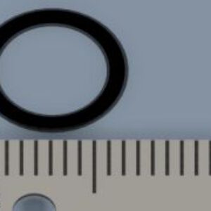O-ring