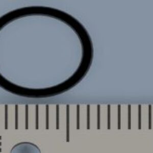 O-ring