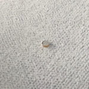 Solder sapphire wedge 1.90 x 0.90 21°